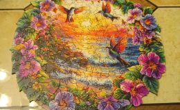 PUZZLING BIRDS –&nbsp;INTRODUCTION