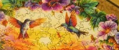 Puzzling Birds – Hummingbird&nbsp;Beauties