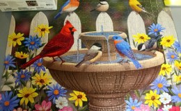 Puzzling Birds – Songbirds At A&nbsp;Fountain